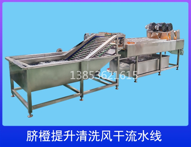 云南柑橘提升清洗流水线
