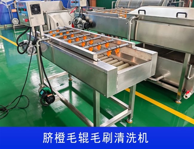 云南沃柑毛辊毛刷清洗机