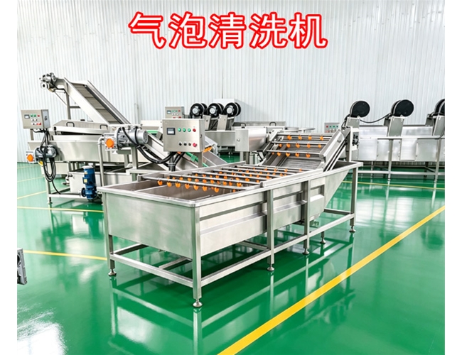 云南桔梗气泡清洗机