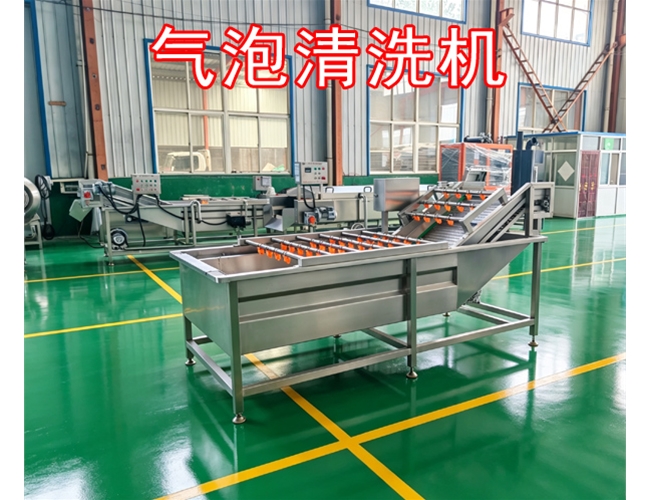 云南银耳气泡清洗机