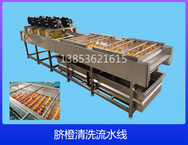 云南脐橙清洗机