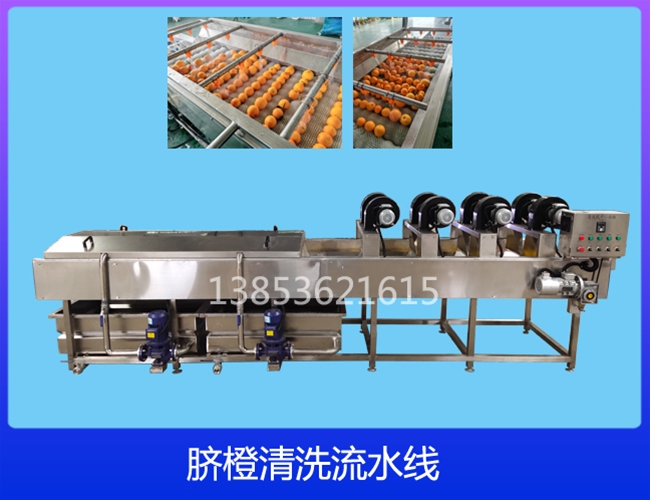 云南沃柑清洗机