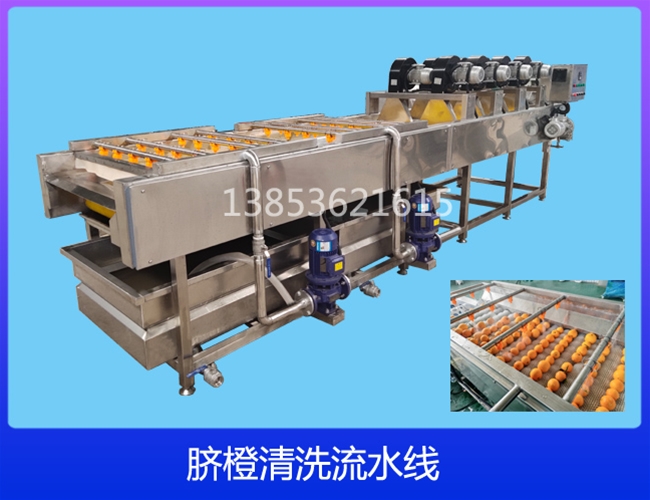 云南柠檬清洗机