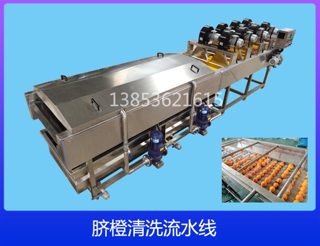 云南陈皮清洗机