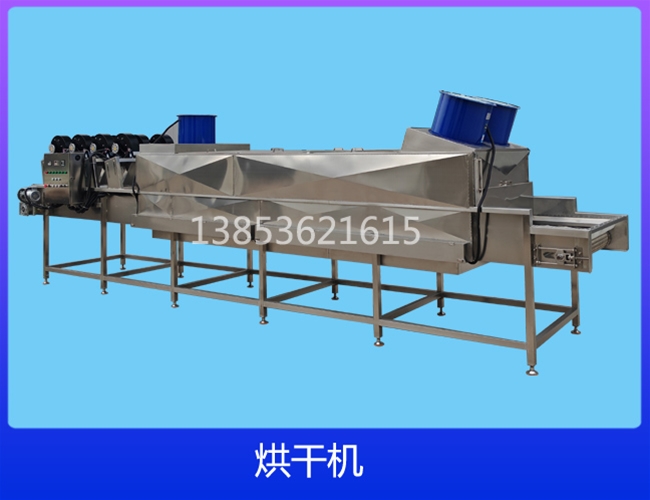 云南电加热网带链板烘干机