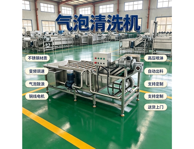 云南草莓气泡清洗机